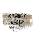 Colección de papeles y Adornos Scrapbooking Grungy Walls de 13 Arts